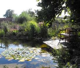 Pension Groß Kreutz