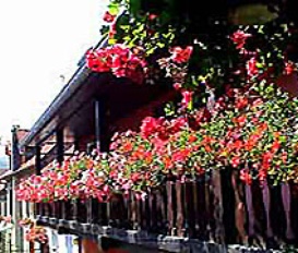 Appartement BERGHEIM