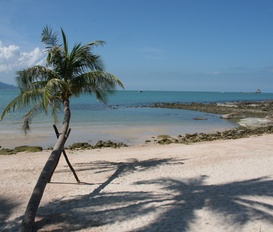 Unterkunft Koh Samui