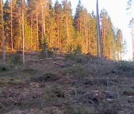holiday home Nysäter