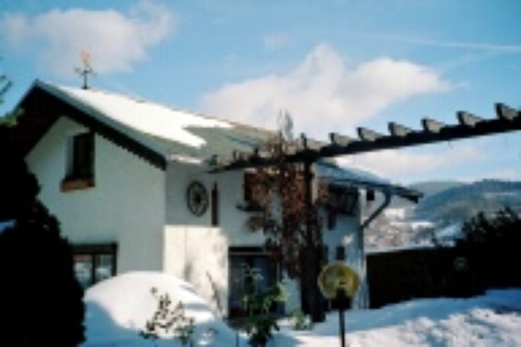 FeHs"Roswitha"im Winter.