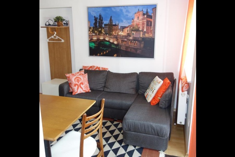 Apartment Living Area