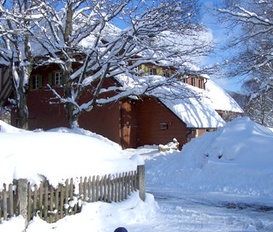 Appartement Menzenschwand