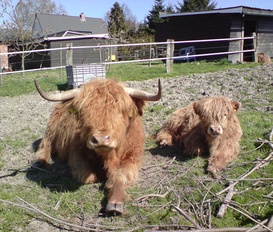 Unterkunft Neutestorf