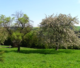 Übernachtung Annaberg-Buchholz