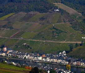 Pension Zell Mosel