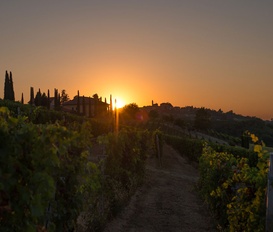 Appartement Calamandrana