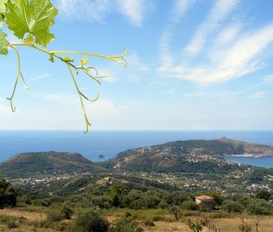 Unterkunft centola palinuro