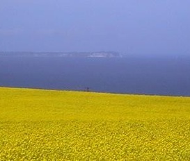 apartment Ribnitz-Damgarten
