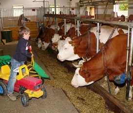 Ferienwohnung Michelsneukirchen