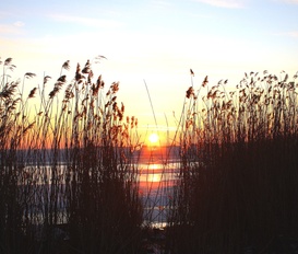 Unterkunft Sassnitz/ Insel Rügen