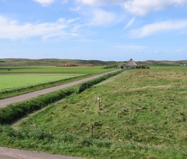 Unterkunft Callantsoog