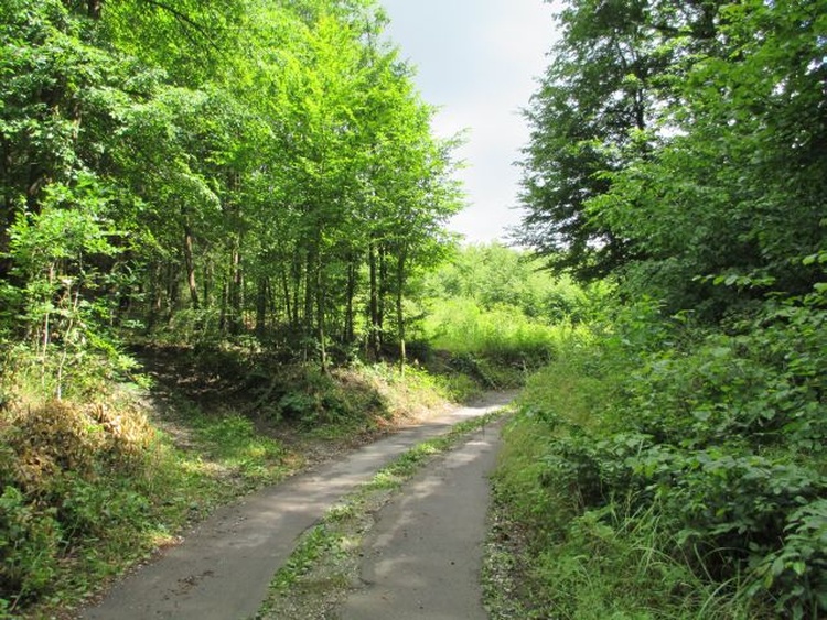 Natur nähe  Farárka