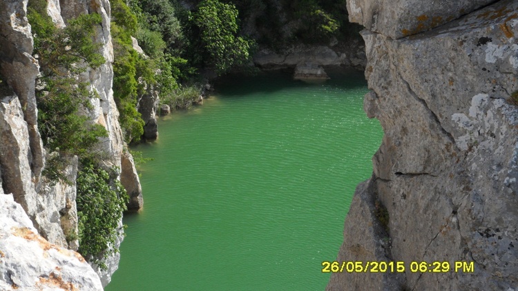 grünes Samtauge in 10 Minuten erreichbar