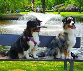 Ferienhaus Leer Moormerland Warsingsfehn