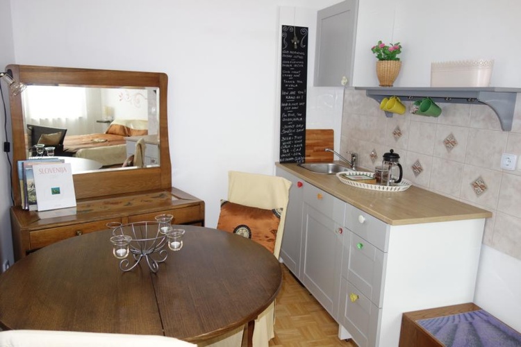 Studio living area with kitchenette (bed see mirror)