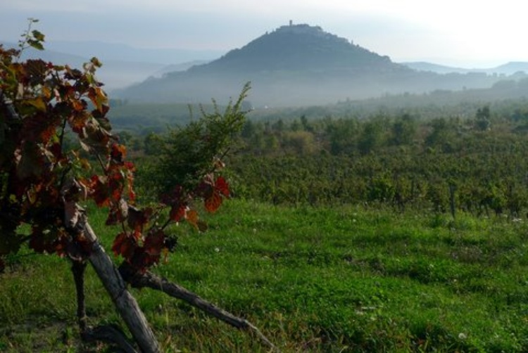 Ansicht von Motovun - Villa Klarici für 2