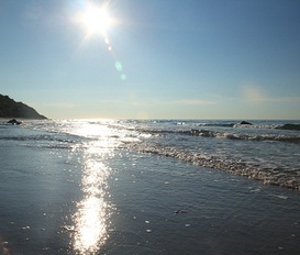 Unterkunft Sassnitz/ Insel Rügen