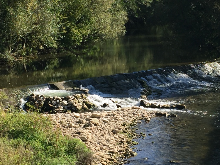 Stauwehr an der Bühler im Bühlertal