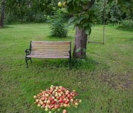 Appartement Lassan/KLEIN JASEDOW