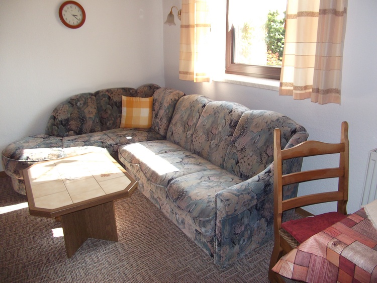 Couch (auch zum Schlafen für einen 3.Gast)