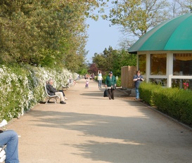 Appartement Zinnowitz