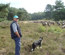 pension Schneverdingen, OT Wesseloh