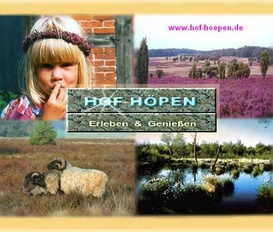 Appartement Schneverdingen