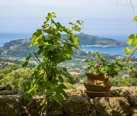 Unterkunft centola palinuro