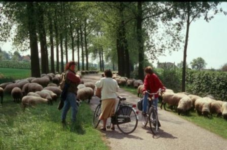 ab un zu muß man warten...