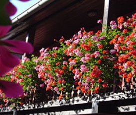 Appartement BERGHEIM