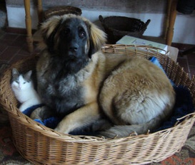 Unterkunft Painfaing