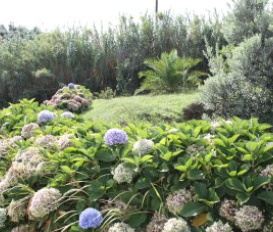 Pension Ajuda da Bretanha