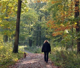 Appartement Chemnitz