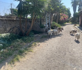 Ferienwohnung Calatabiano