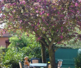 Appartement Salzburg