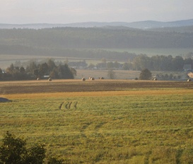 Unterkunft Oelsnitz/Vogtland