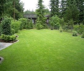 Appartement Haren Dankern