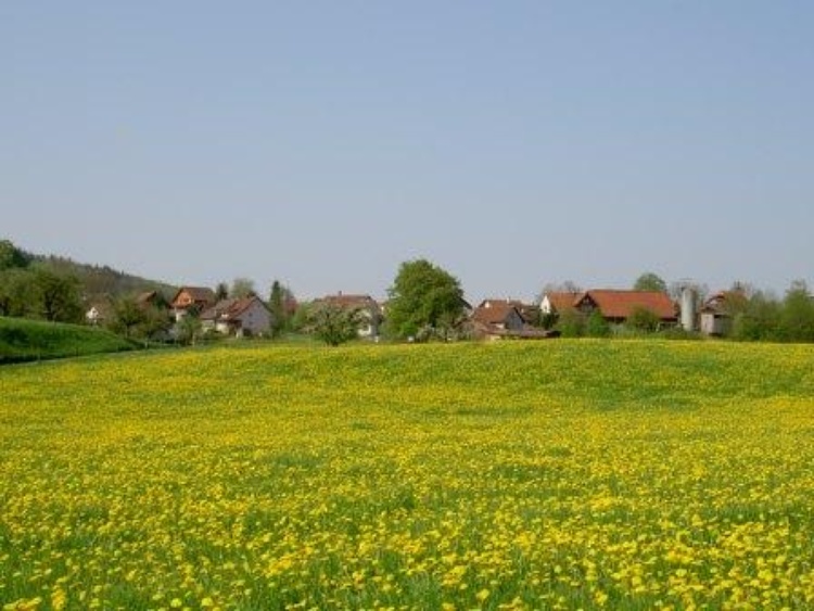 Frühling in Eberswil