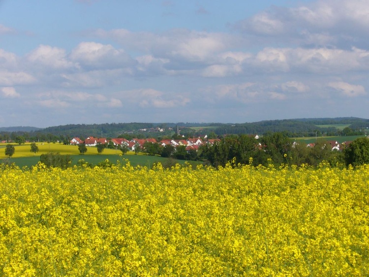 Impressionen vom Hohenloher Land