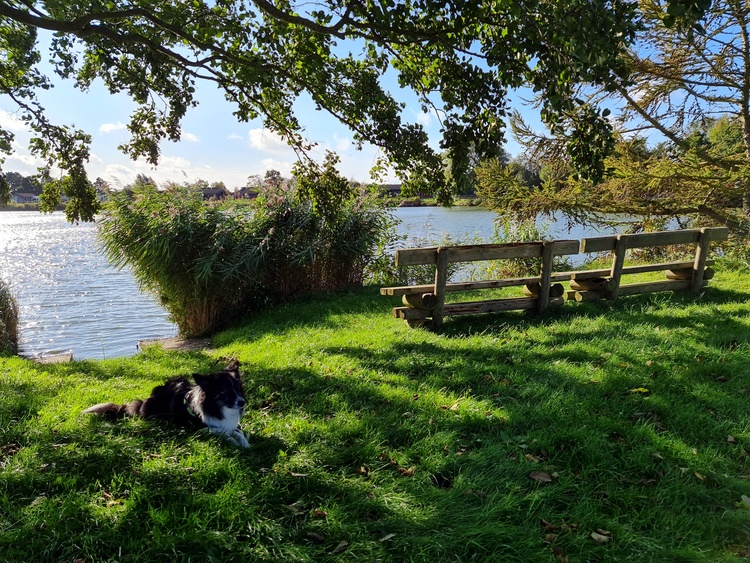 Traumlage zwischen Meer und See