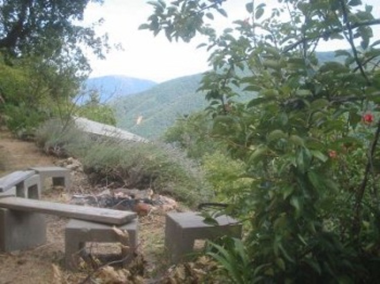 Draußen vor'm Sommerhaus am Lagerfeuerplatz: mittendrin in naturbelassender Agrarökologie