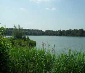 Unterkunft Heinkenszand