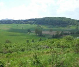Unterkunft Dreis-Brück