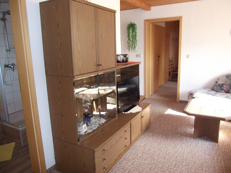 Wohnzimmer mit Möbel, TV u.Radio