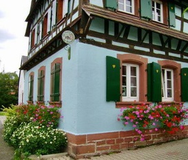 Appartement SALMBACH