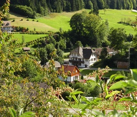 Unterkunft Bad Rippoldsau-Schapbach