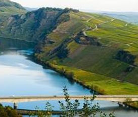 Pension Zell Mosel