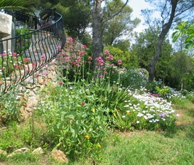 Unterkunft St Aygulf