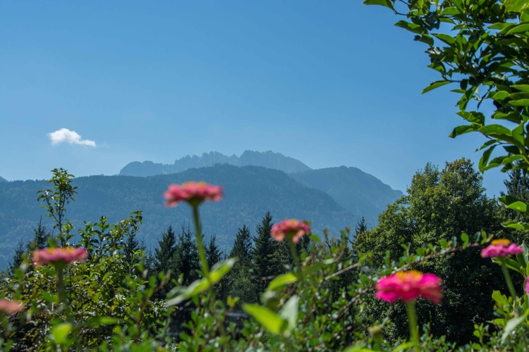 Aussicht vom Waldhof